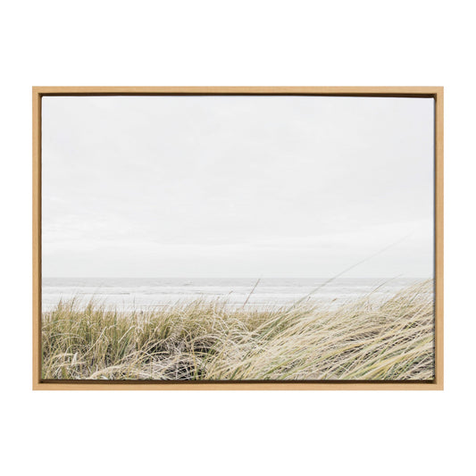 Framed Canvas Art