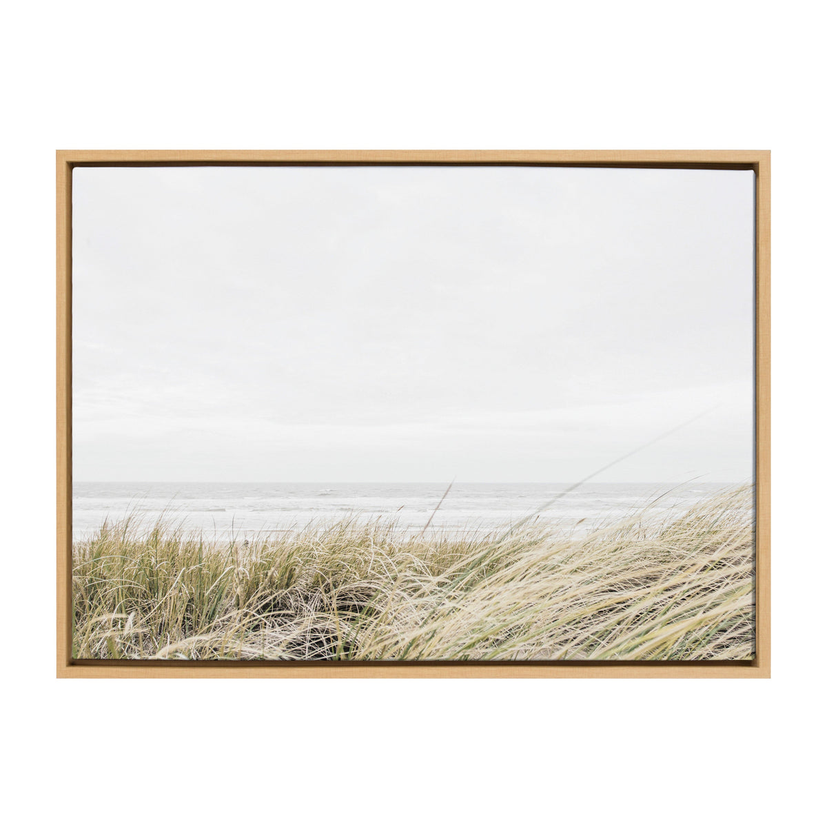 Framed Canvas Art