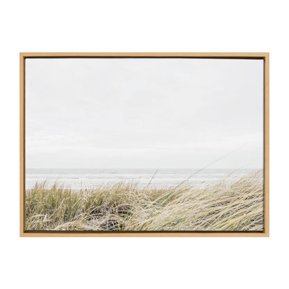 Framed Canvas Art