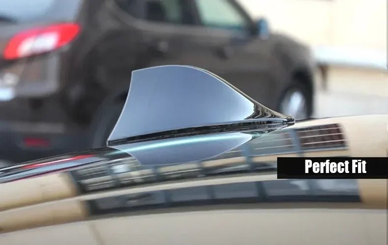 | FM/AM Signal Booster Antenna