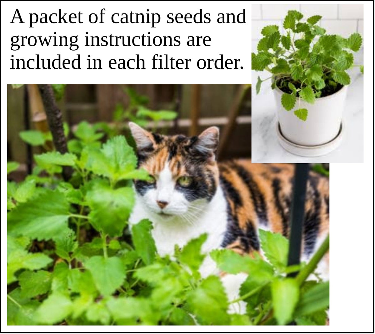 Air Purifier