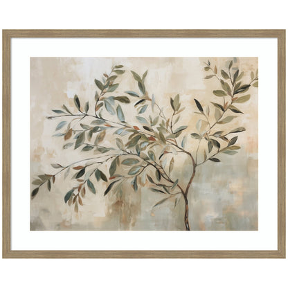 Olive Tree  Framed Wall Art Print