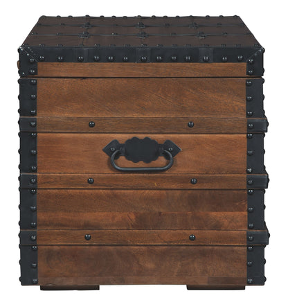 Storage Trunk