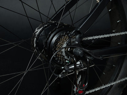 Electric Bike