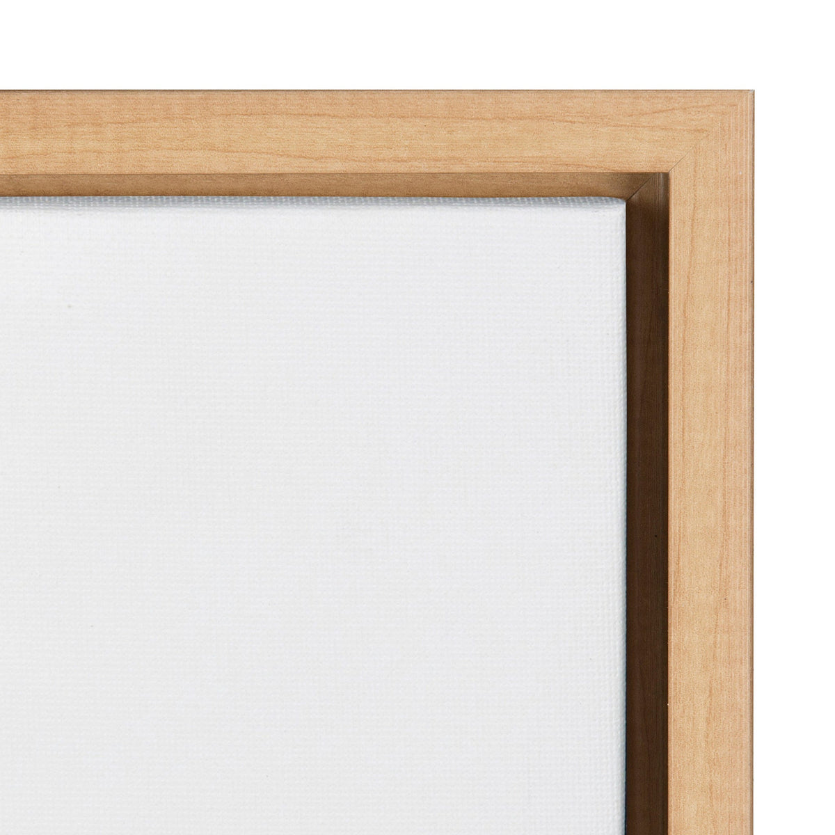 Framed Canvas Art