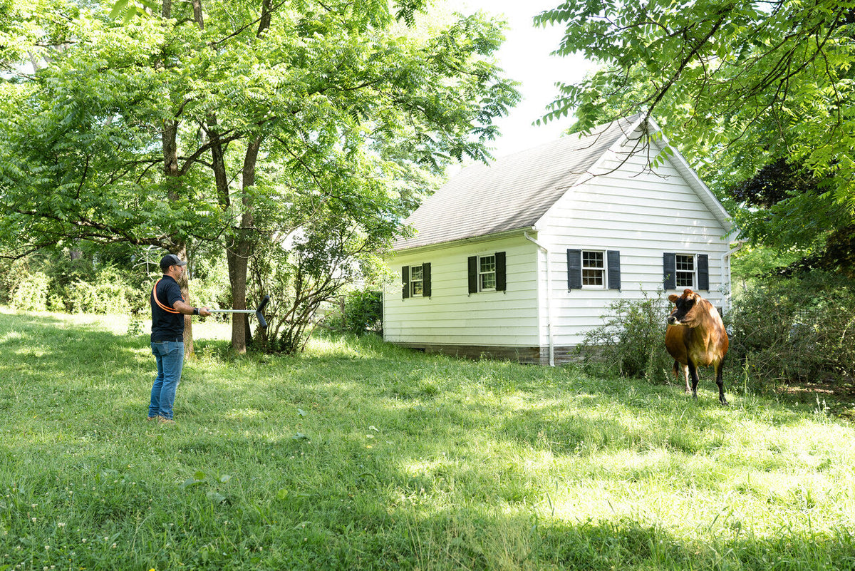 Safe Animal Handling