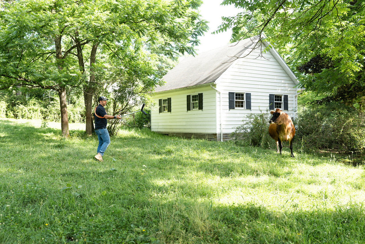 Safe Animal Handling