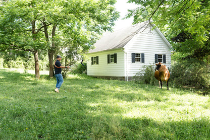 Safe Animal Handling