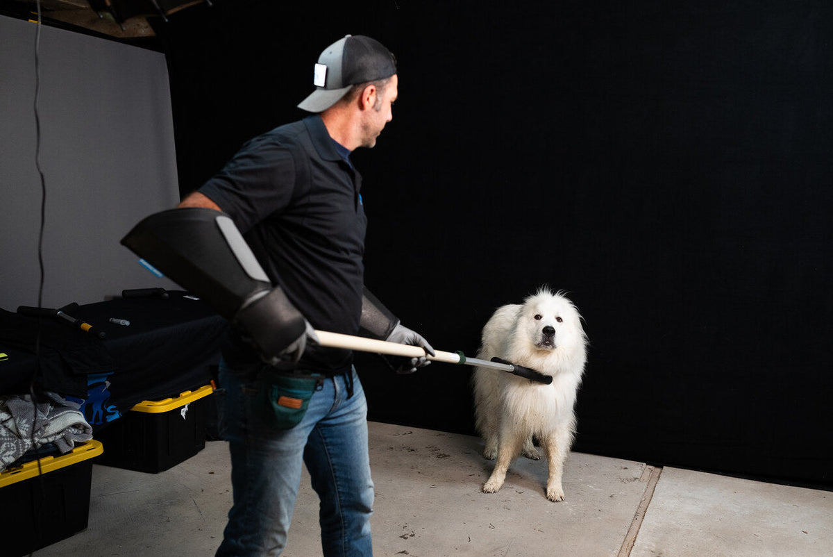 Safe Animal Handling