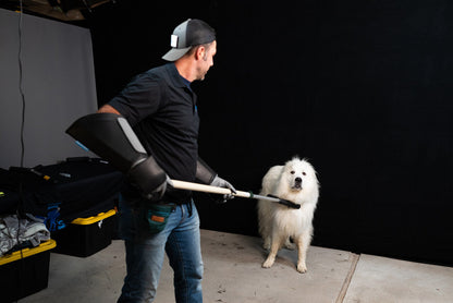 Safe Animal Handling