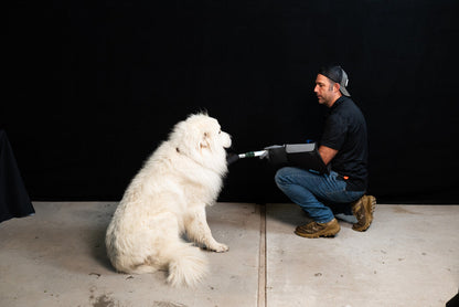 Safe Animal Handling