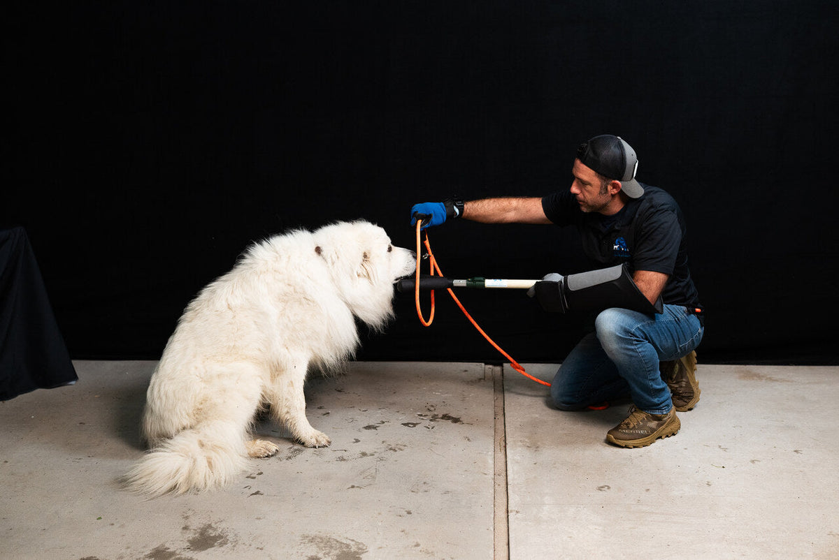 Safe Animal Handling