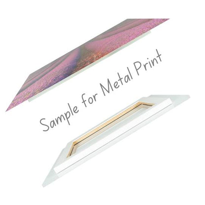 Art Prints