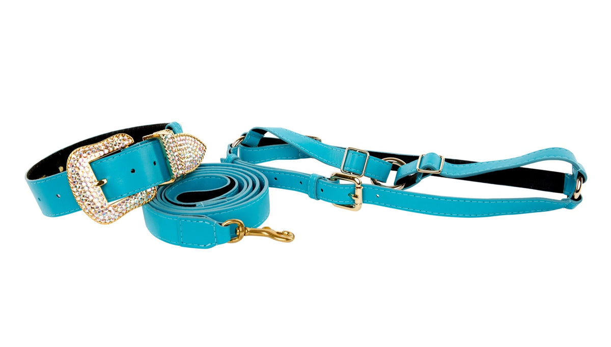 Dog  Collar, Leash, Harness Set