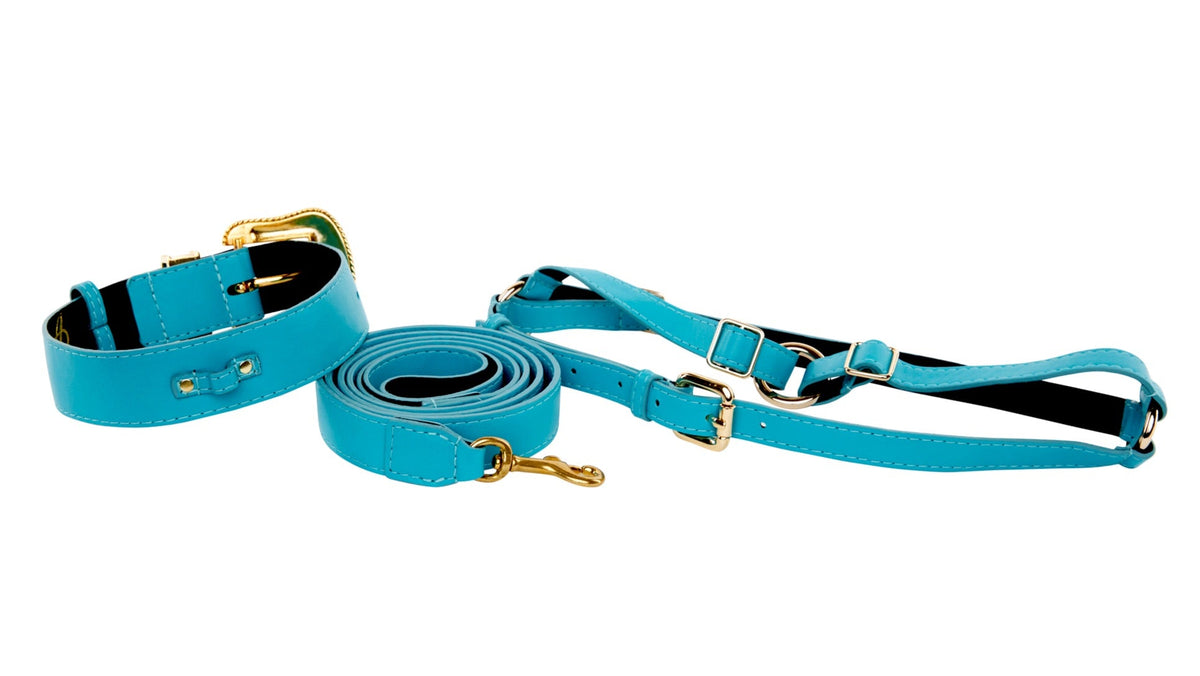 Dog  Collar, Leash, Harness Set