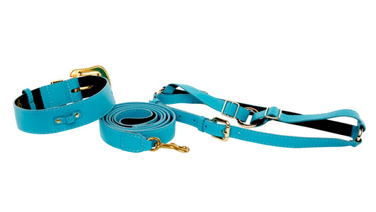 Dog  Collar, Leash, Harness Set