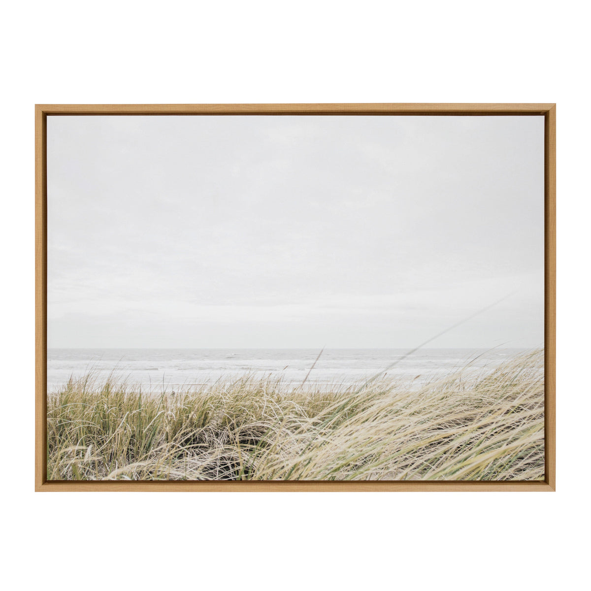 Framed Canvas Art