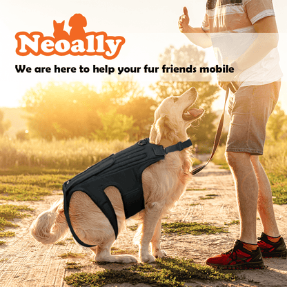 Dog Back Brace