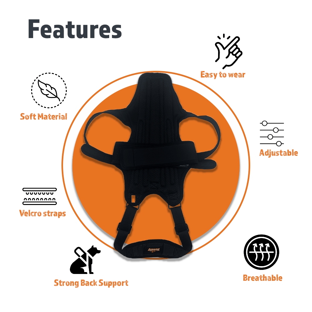 Dog Back Brace