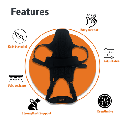 Dog Back Brace