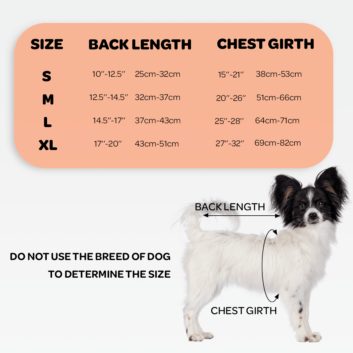 Dog Back Brace