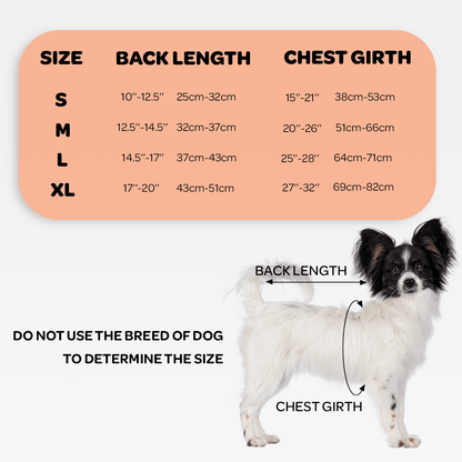 Dog Back Brace