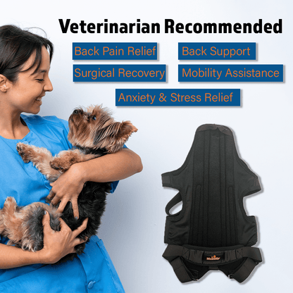 Dog Back Brace