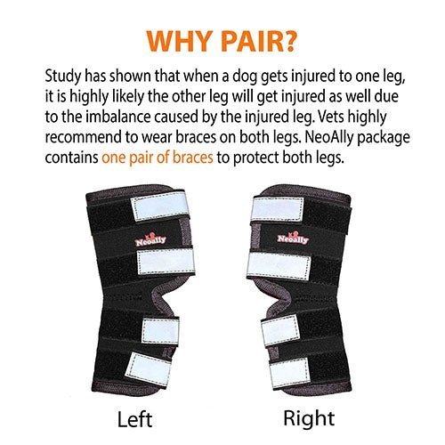 Dog Leg And Ankle Brace]