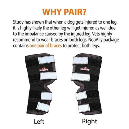 Dog Leg And Ankle Brace]