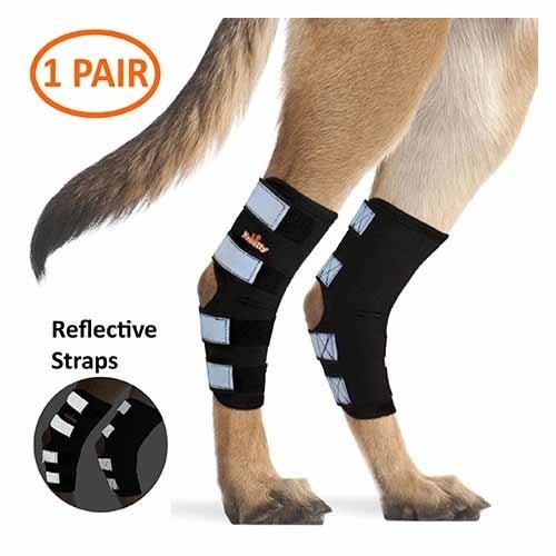 Dog Leg And Ankle Brace]