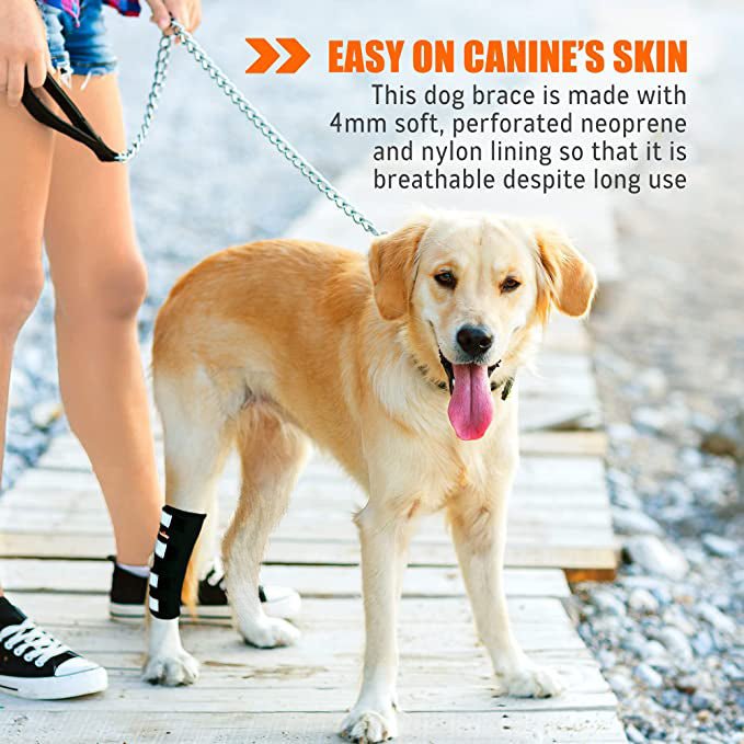 Dog Leg And Ankle Brace]