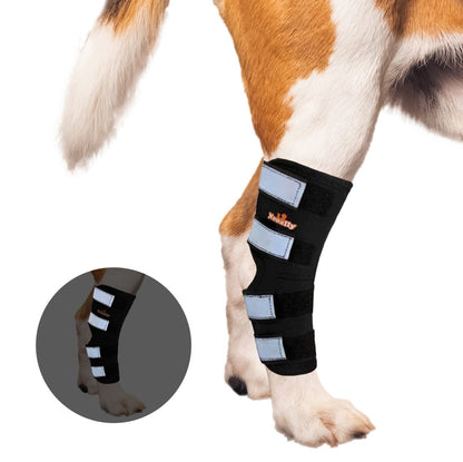 Dog Leg And Ankle Brace]