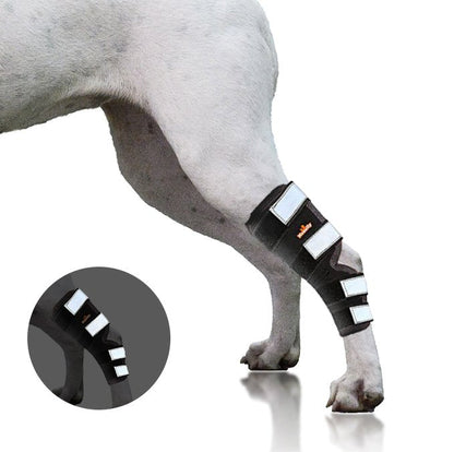Dog Leg And Ankle Brace]