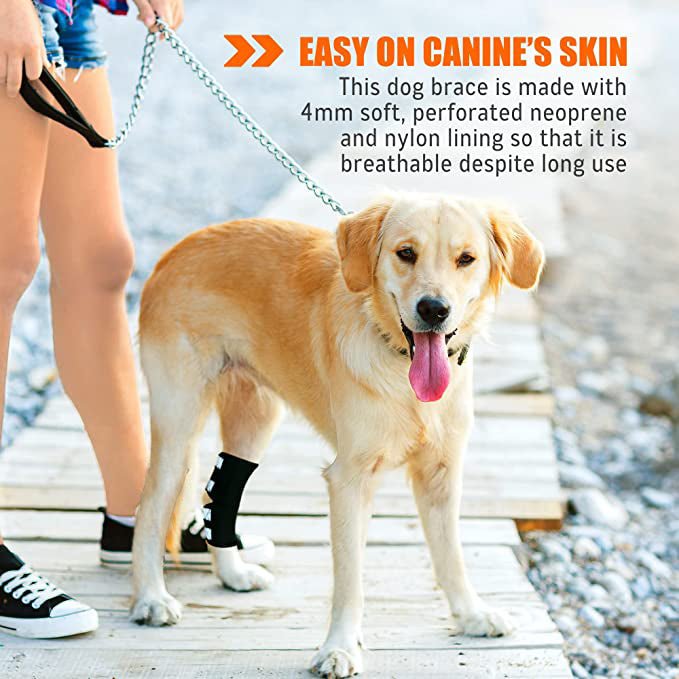 Dog Leg And Ankle Brace]