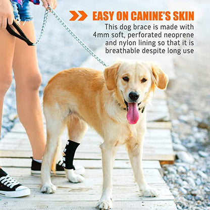 Dog Leg And Ankle Brace]