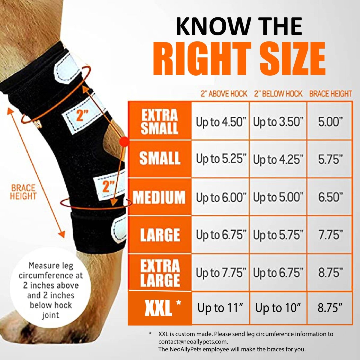 Dog Leg And Ankle Brace]