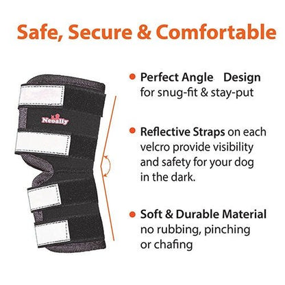 Dog Leg And Ankle Brace]