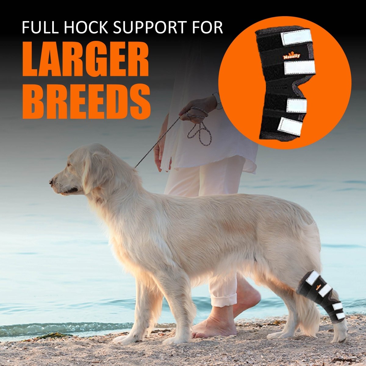 Dog Leg And Ankle Brace]