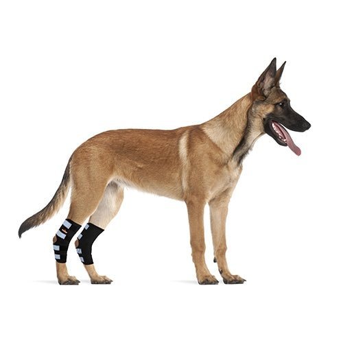 Dog Leg And Ankle Brace]