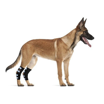 Dog Leg And Ankle Brace]
