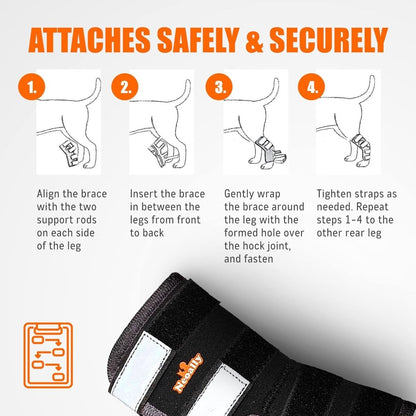 Dog Leg And Ankle Brace]