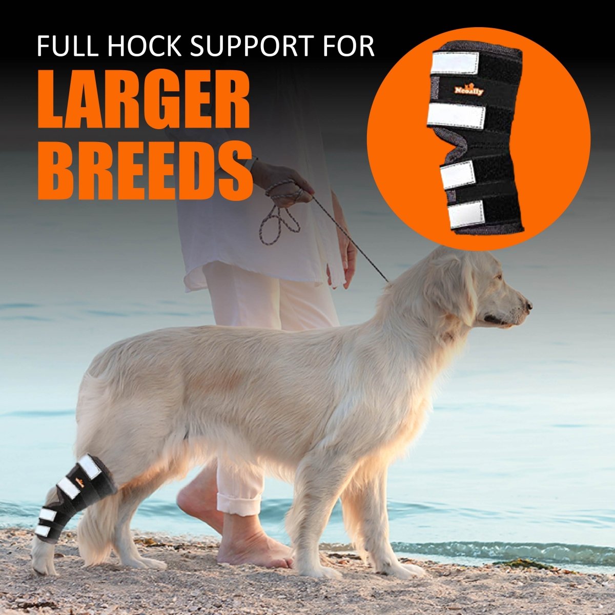 Dog Leg And Ankle Brace]
