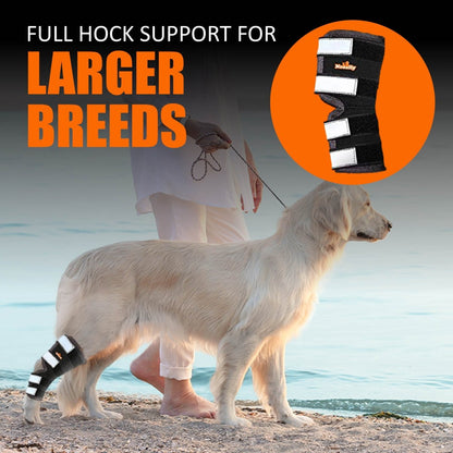 Dog Leg And Ankle Brace]