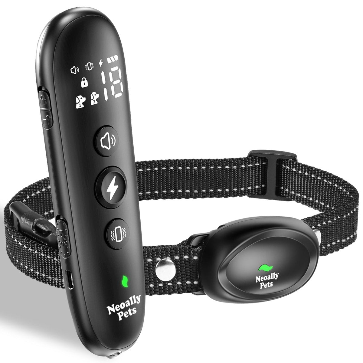 Dog Training Collar