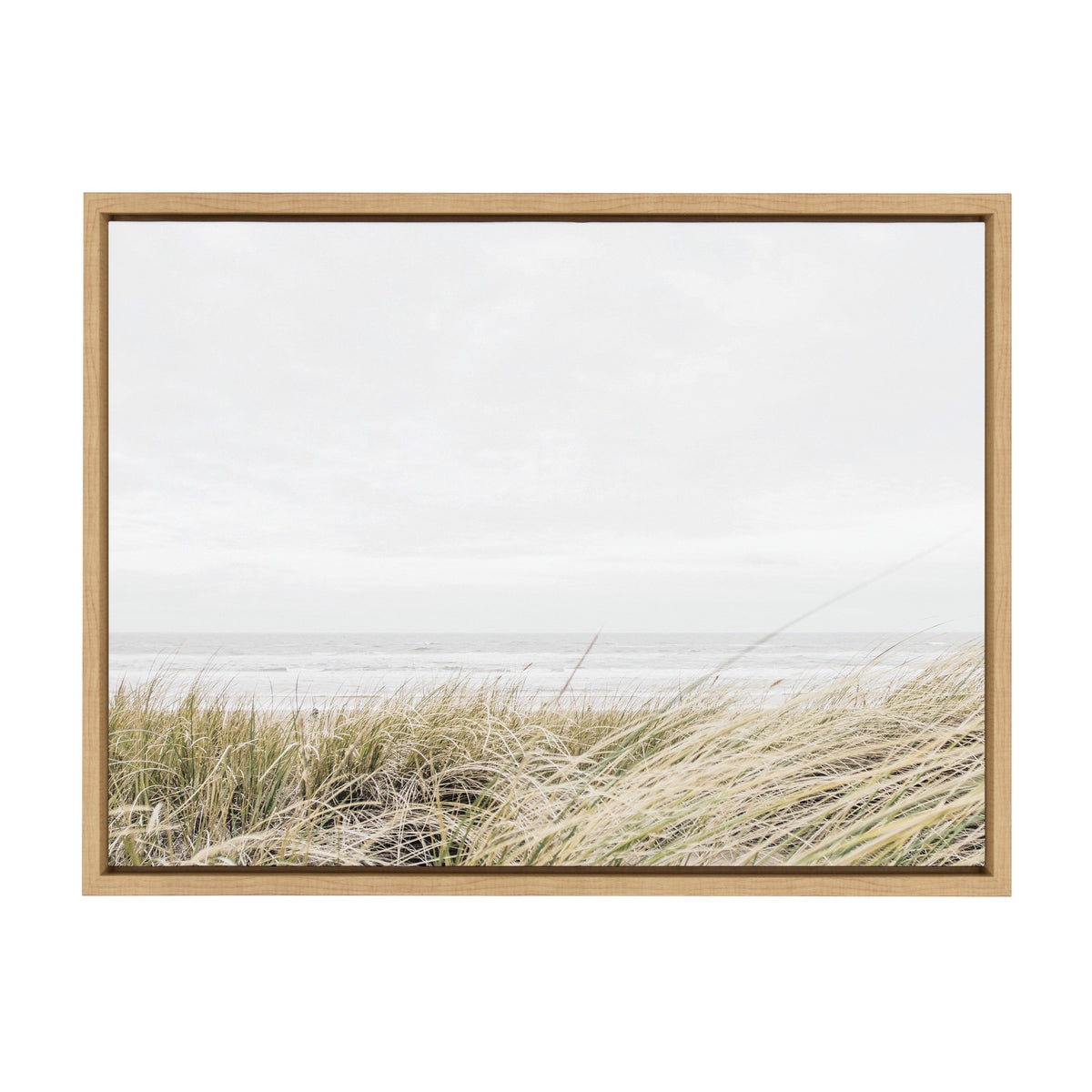 Framed Canvas Art