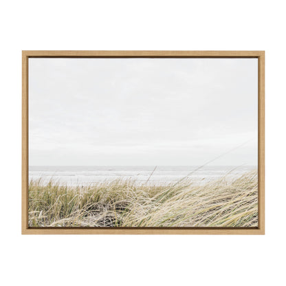 Framed Canvas Art