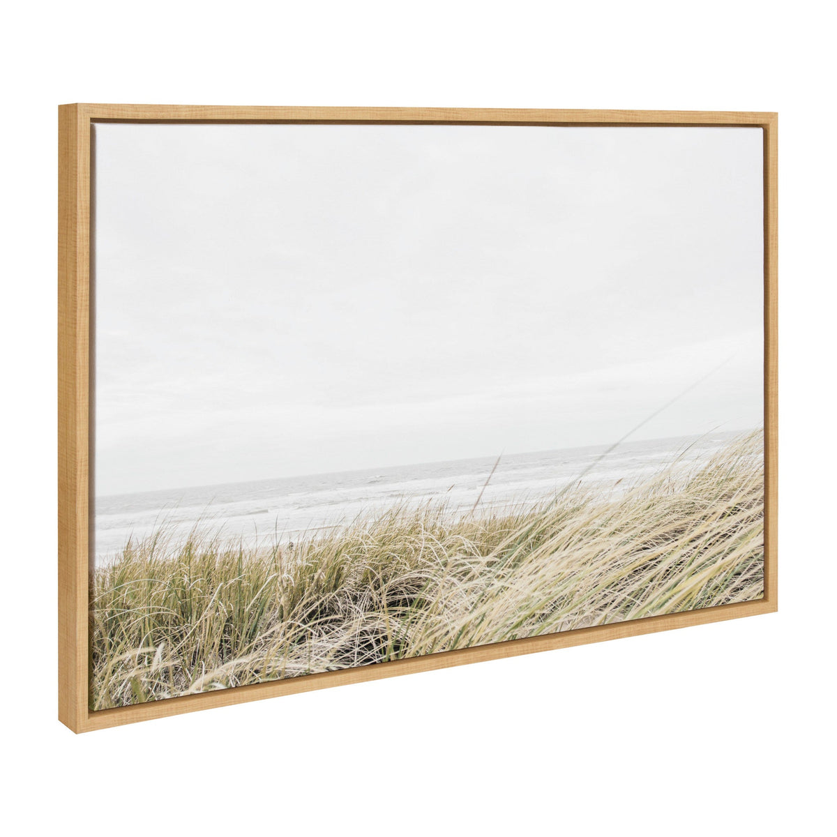 Framed Canvas Art