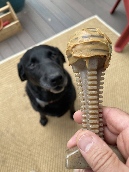 Dog Chew Toy